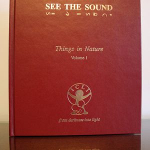 See the Sound – Visual Phonics Dictionary